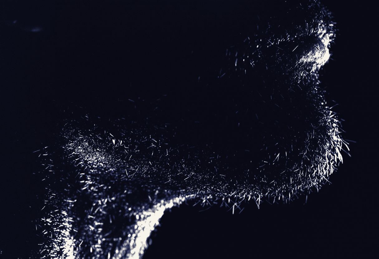 Stubble at the jaw and neck line, the site where pseudofolliculitis is most severe and most likely to scar
